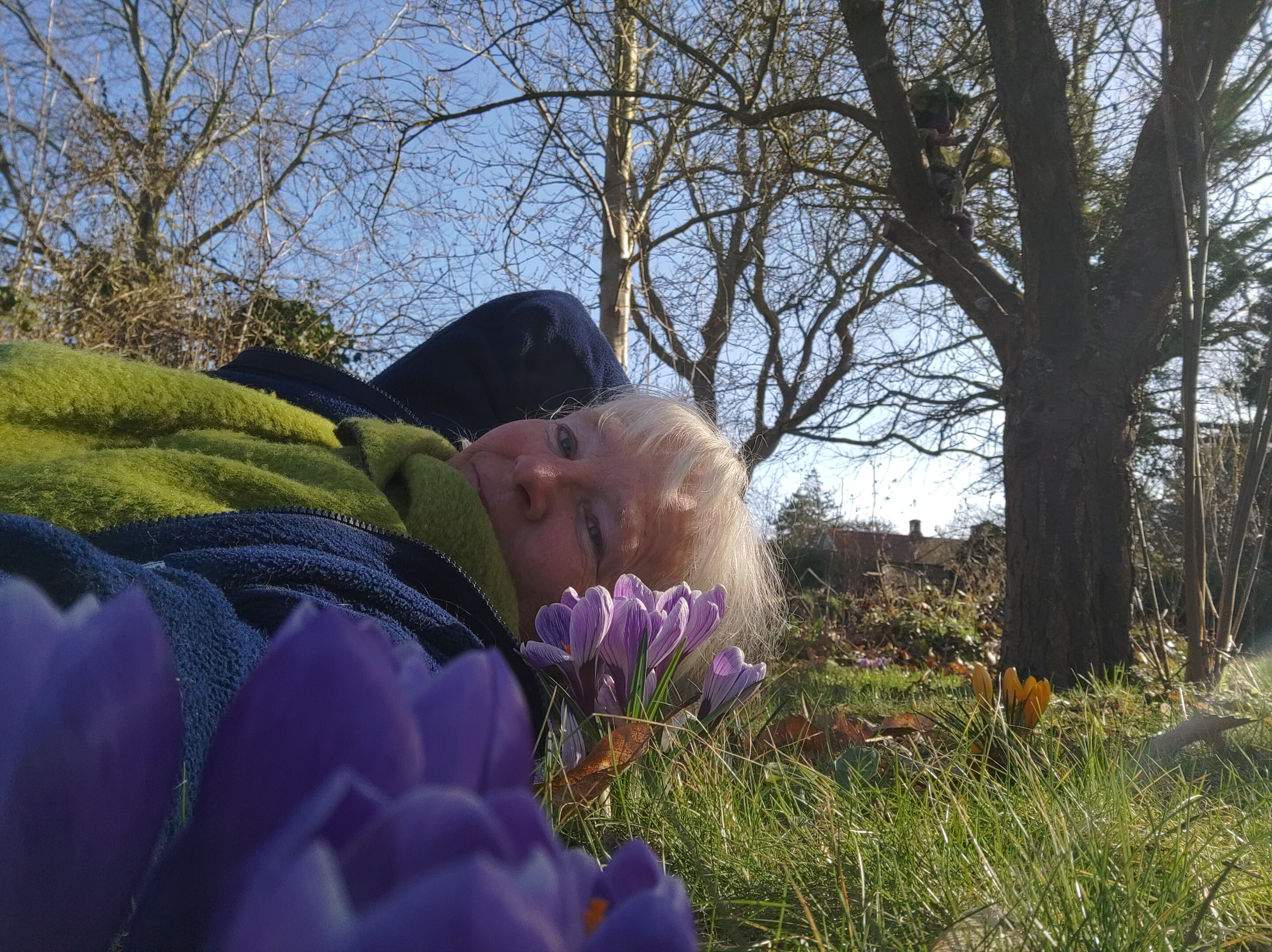 Lotte Rosenkilde med krokus. Lotte Rosenkilde med krokus.